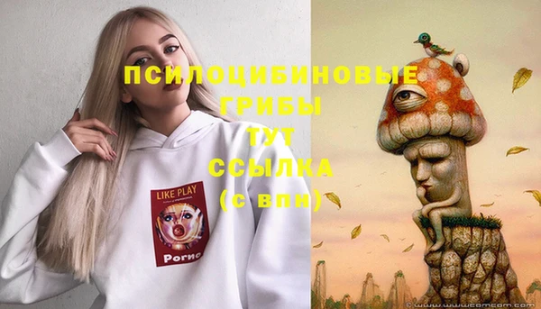 дживик Вязьма