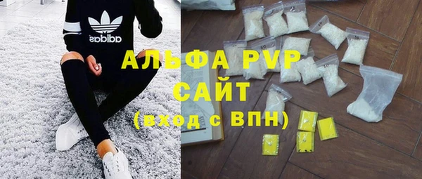 дживик Вязьма