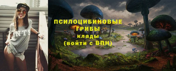 дживик Вязьма