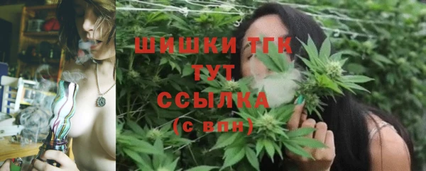 PSILOCYBIN Вязники