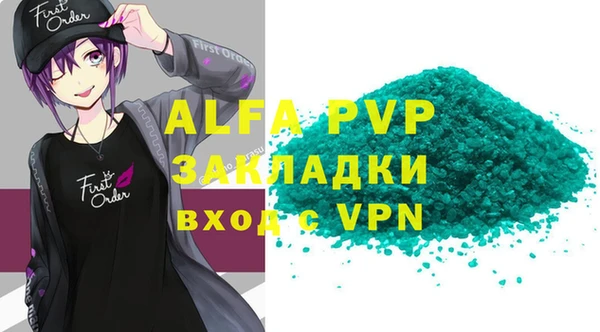 дживик Вязьма