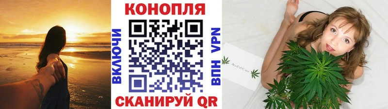 Бошки марихуана сатива  цены наркотик  Мещовск 
